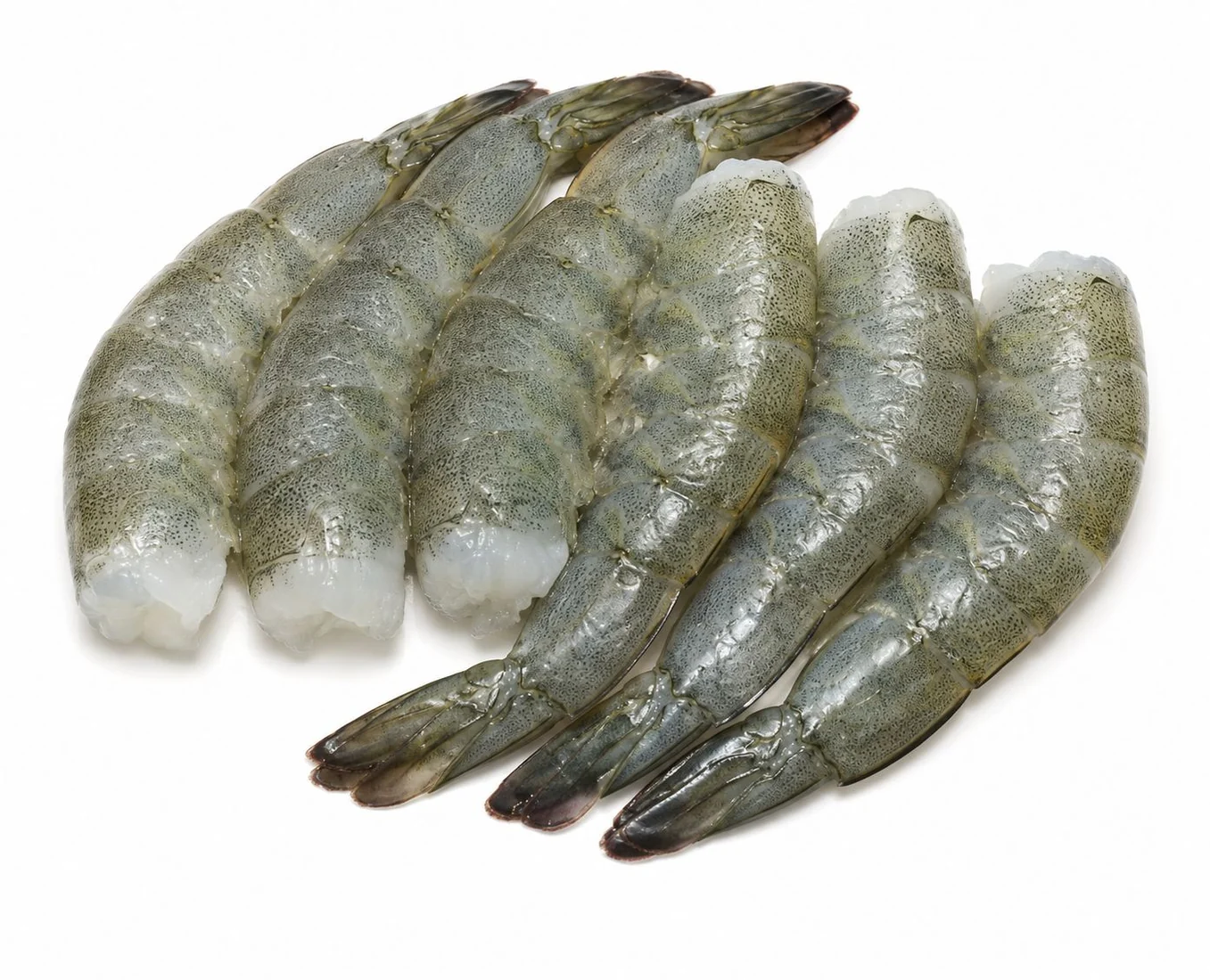 Vannamei HLSO shrimp