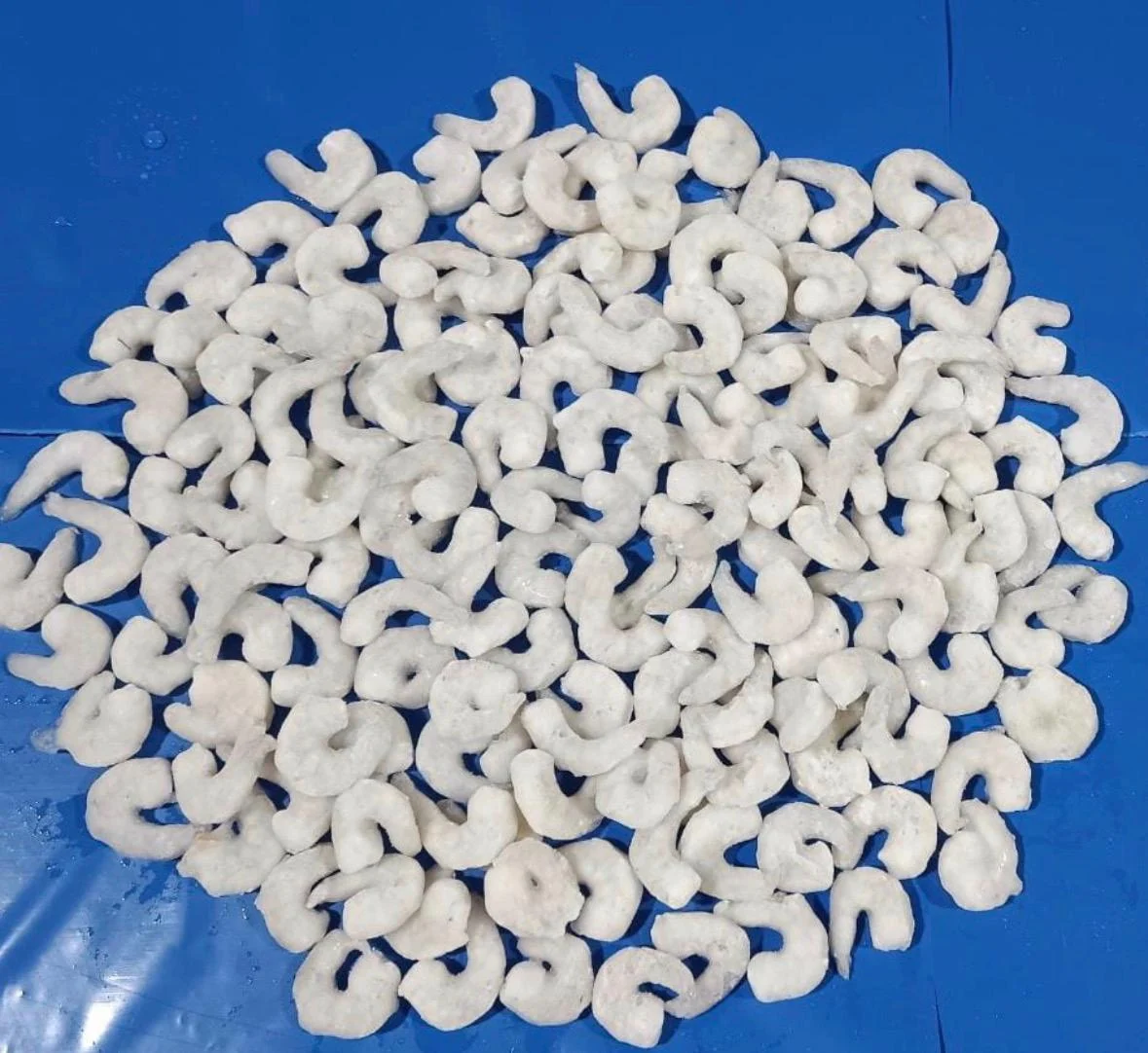 Vannamei PD shrimp